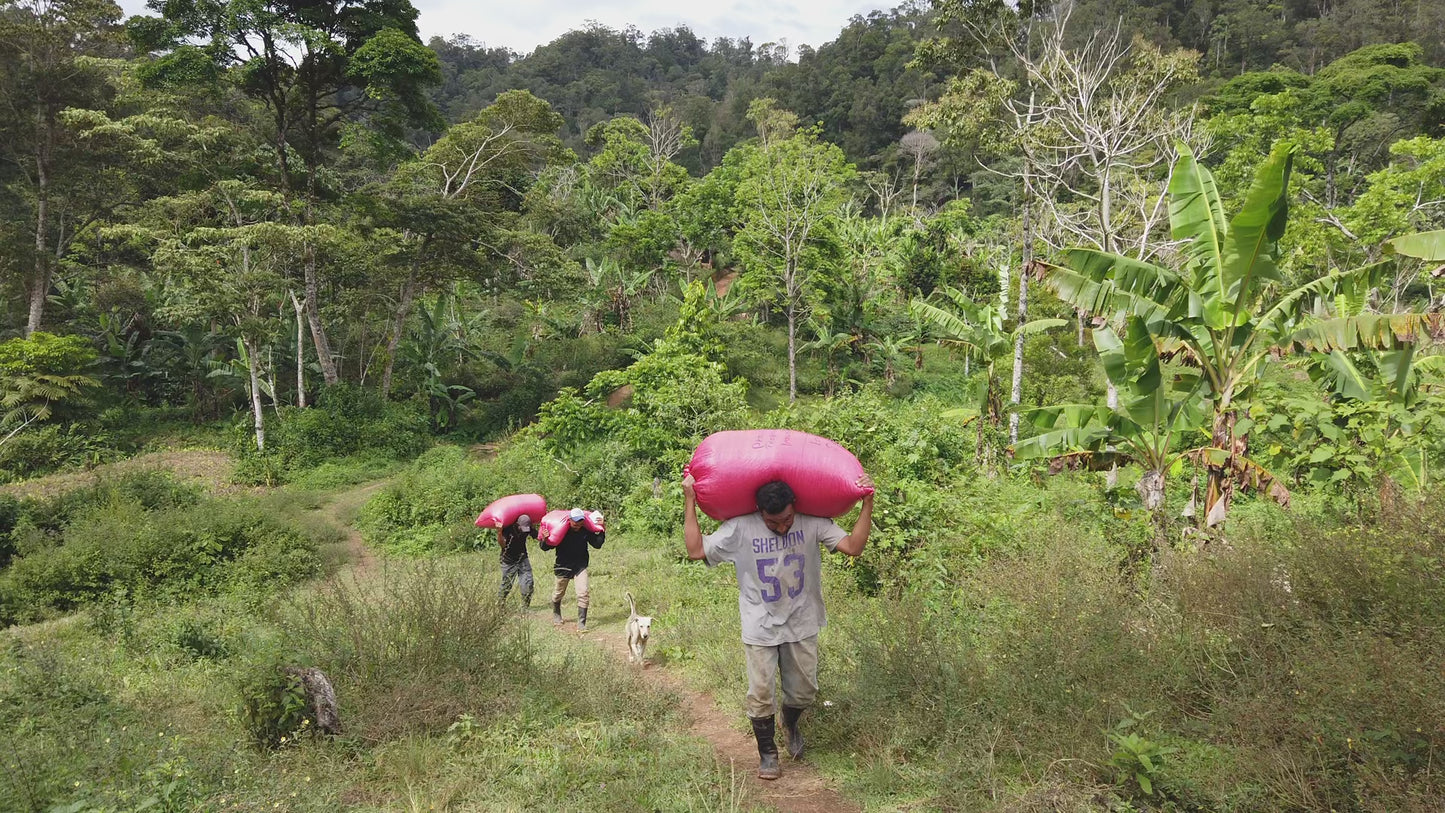 
                  
                    Load and play video in Gallery viewer, Nicaragua- Ronald &amp;amp; Noelia Anti-Poverty Honey Process (1lb)
                  
                